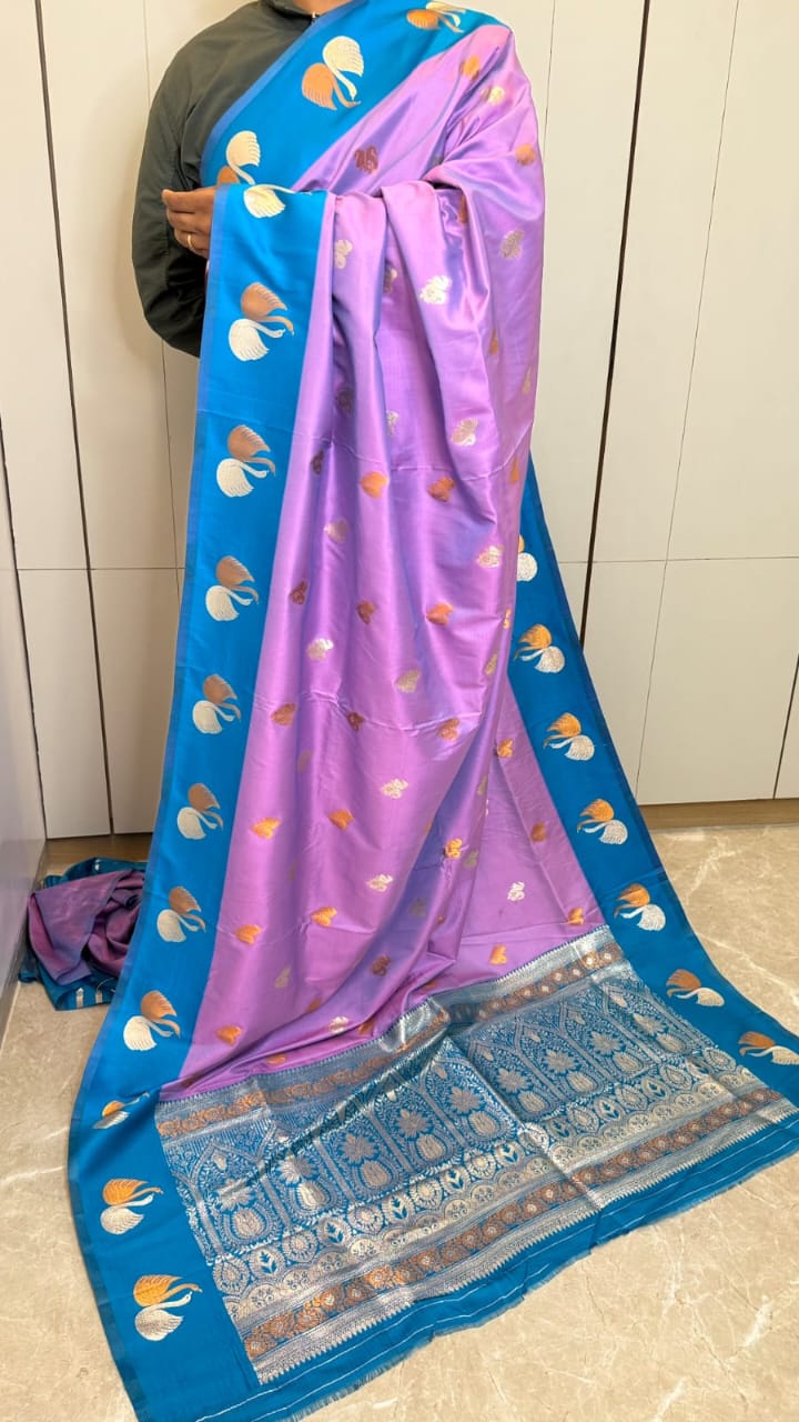 New Swan Border Saree – A Timeless Blend of Elegance & Grace