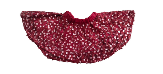 Designer Net Skirt for Kids
